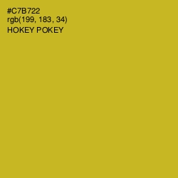 #C7B722 - Hokey Pokey Color Image